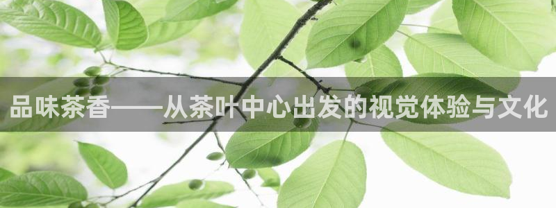 金雅陶瓷年会现场