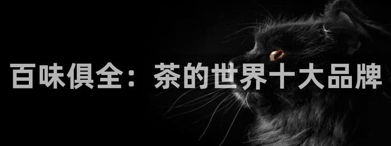 金年会是正规平台吗