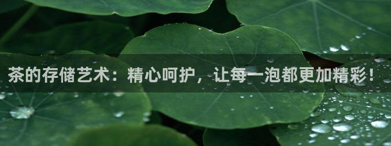 金年会app下载中国金年会