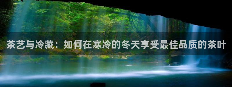 金年会网登录平台入口