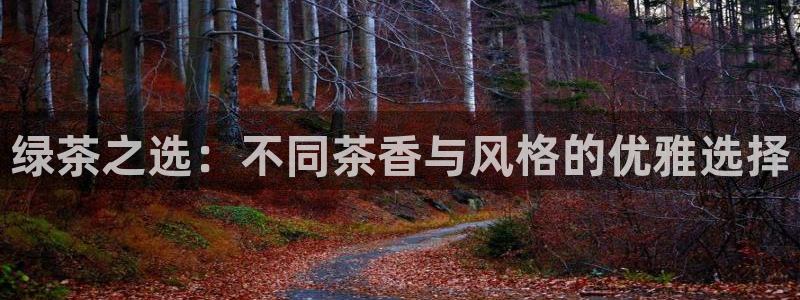 金年会官方网站登录