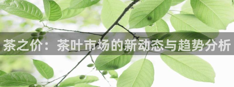 金年会活动策划