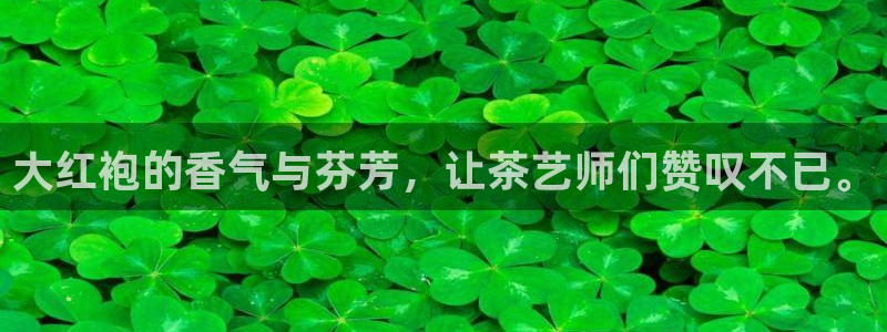 金年会体育官方下载