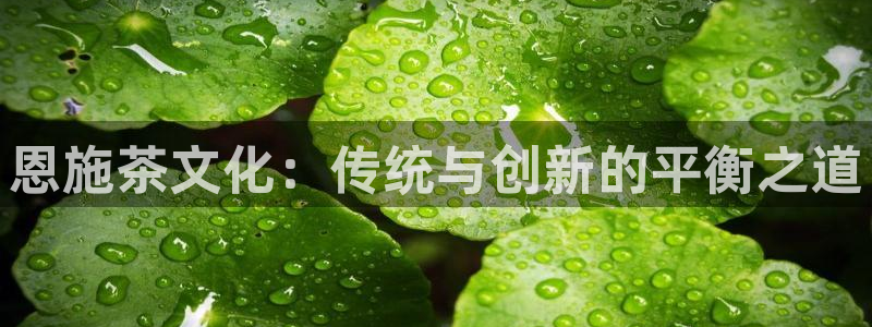 金年会app下载中国金年会