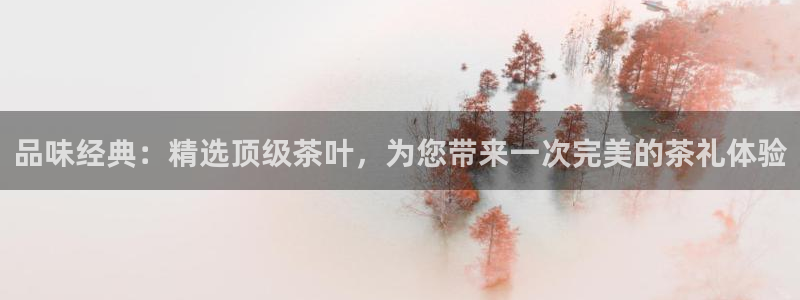 金年会电子游戏app