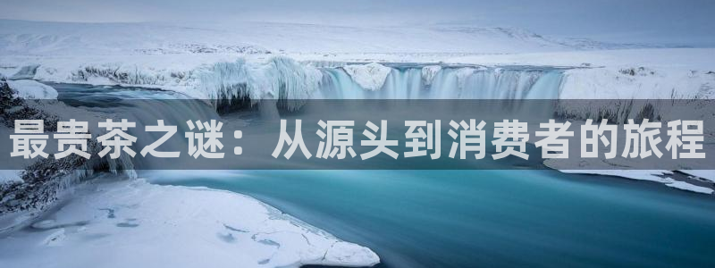 金年会赞助曼联