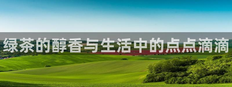 金年会能提款吗