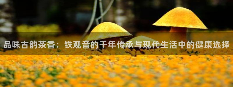 金年会活动策划