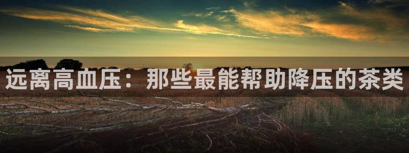 澳门与金年会的关系