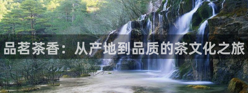 jinnian金年会