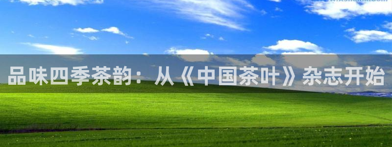 金年会官网