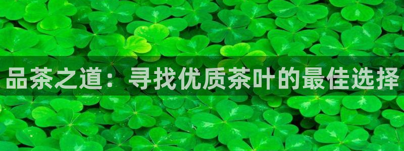 金年会娱乐app