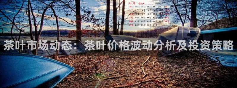 6766金年会