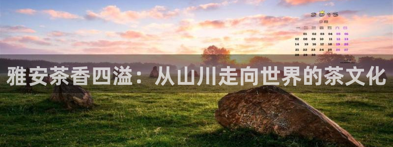 今年会金年会