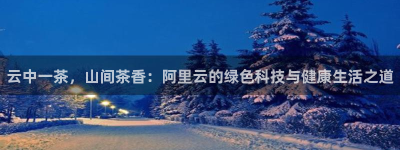 金年会游戏