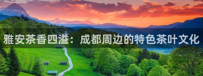 金年会是啥