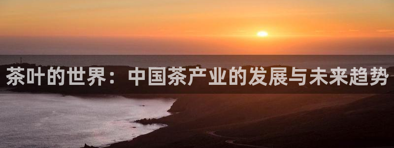 金年会6766澳门联合