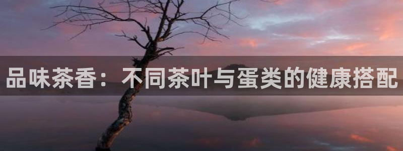 金年会活动策划