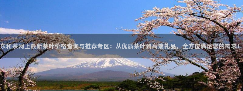 金年会官方客服