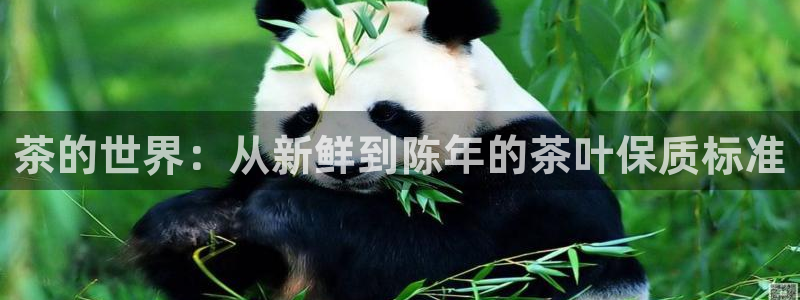 金年会澳门6766