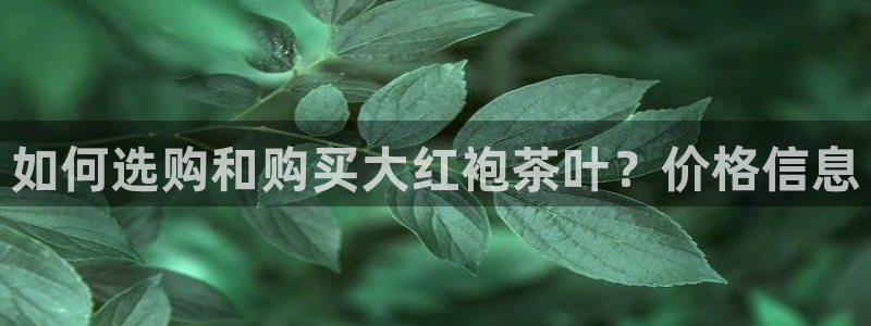 金年会 1080P