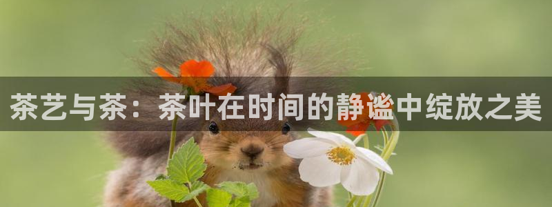 金年会登陆