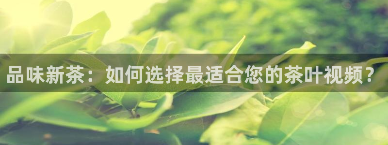 金年会金年华