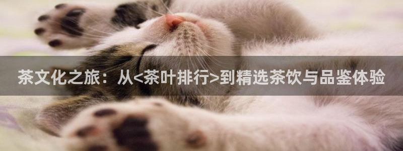 金年会网页登录