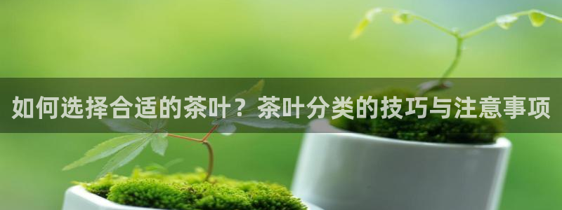 澳门娱乐金年会