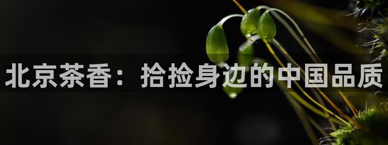 金年会官方