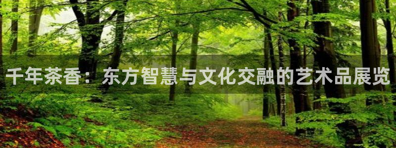 金年会体育app官网