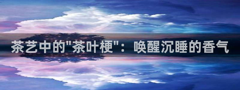 金哥年会