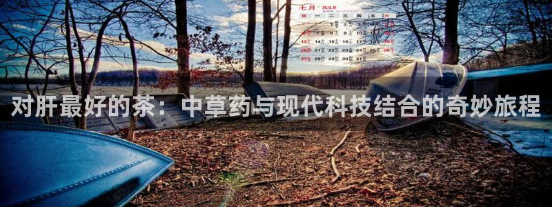 金年会娱乐下载app