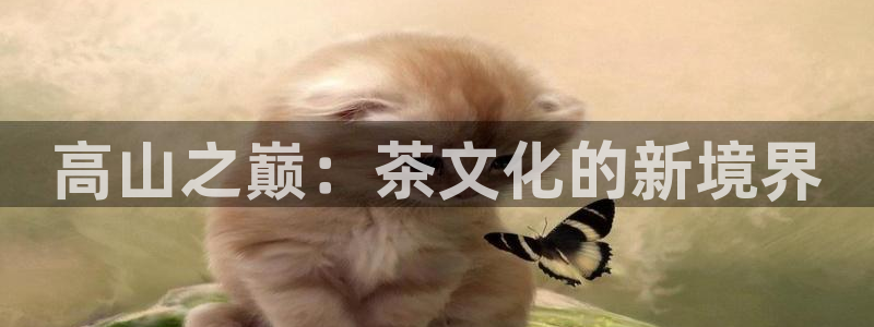 金年会拼音