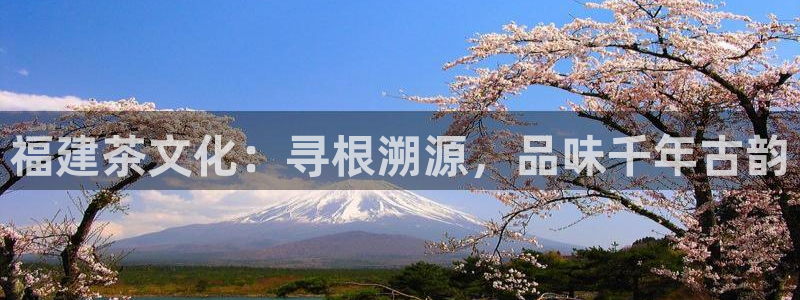 金年会