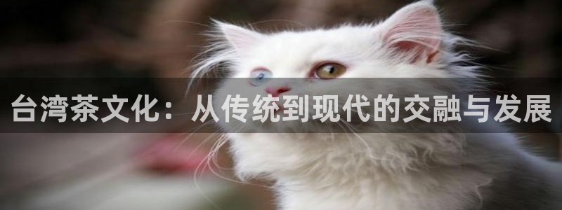 金年会软件在线下载