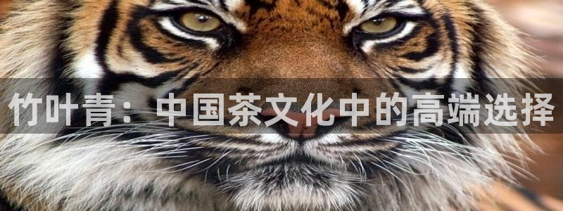 金年会棋牌