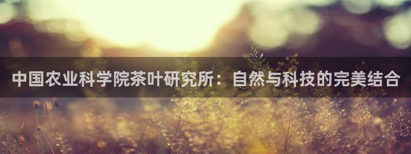 金年会在线下载