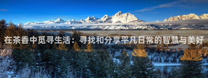 金年会金年华