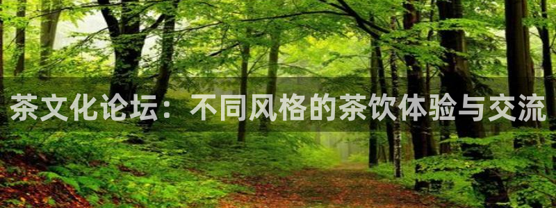 金年会彩金