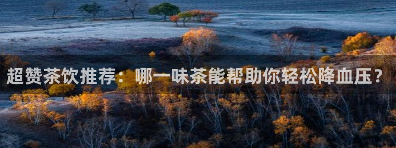 2022金年会