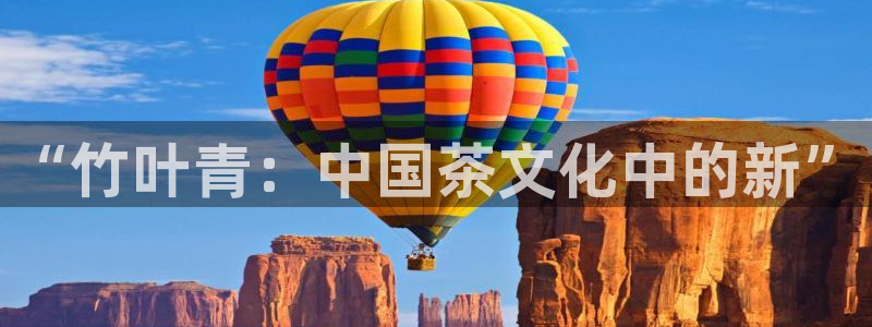 金实年会