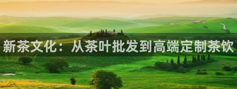 金年会娱乐提现