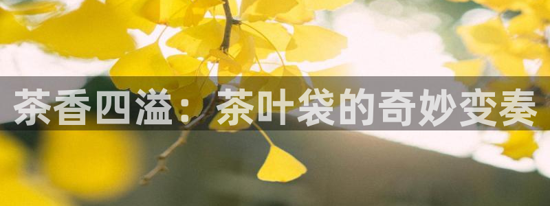 金年会金字招牌在线入口