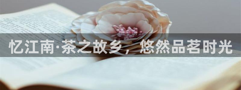 金年会官方网站