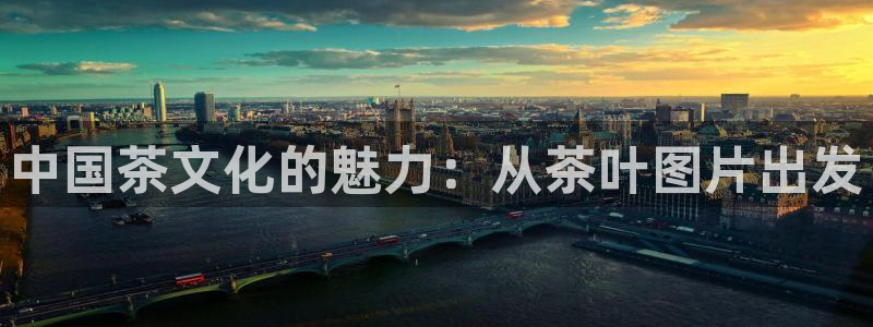 金年会在线下载