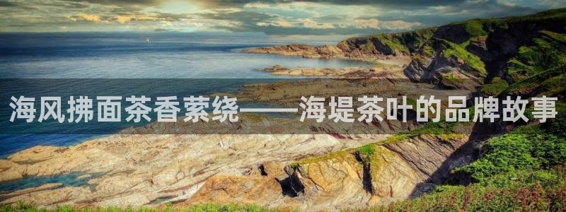 金年会体育官网