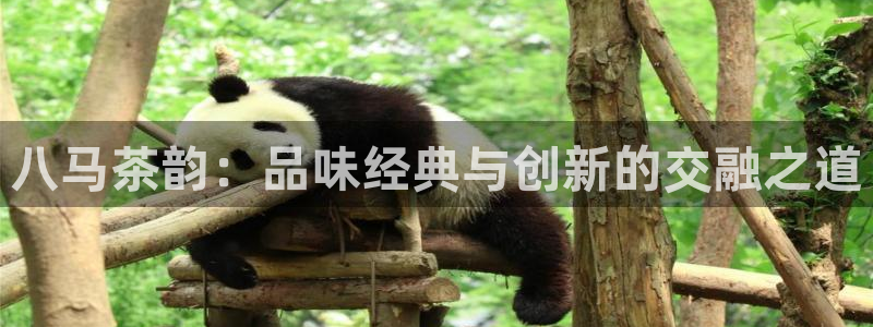 金年会手机网页登录