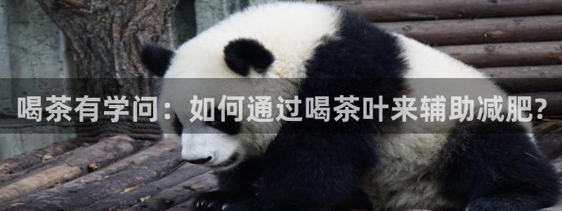 金年会这个平台