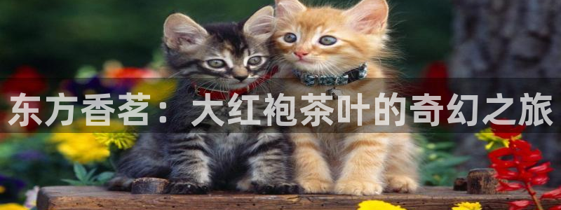 金年会金字招牌信誉至上